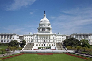 Desde New York: Excursion a Washington en 1 Dia