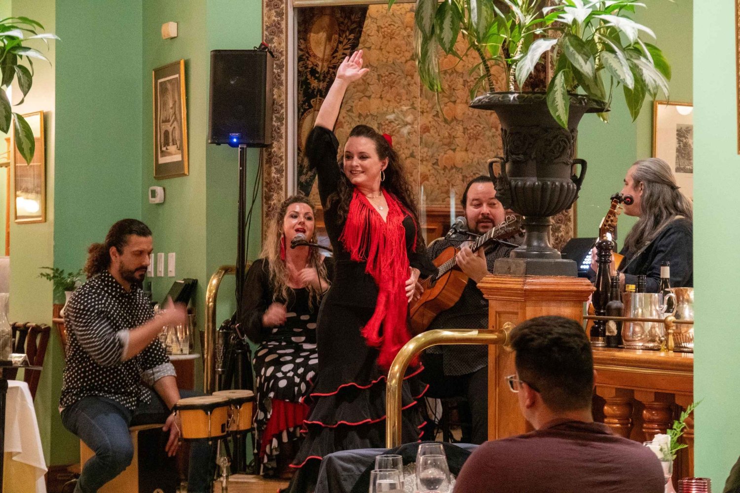 Spettacolo di flamenco con cena e sangria