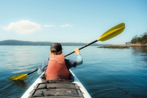 Friday Harbor: tour di mezza giornata in kayak e trekking per famiglie