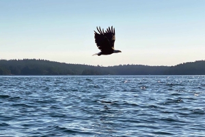 Friday Harbor: tour di mezza giornata in kayak e trekking per famiglie