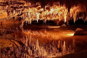 Small-Group DC Day Trip to Shenandoah Park&Luray Cavern