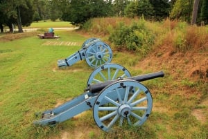 From DC: Colonial Williamsburg and Historical Triangle Tour