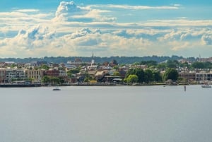 Desde DC: El casco antiguo de Alexandria en un día con ferry de ida y vuelta