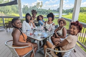 From DC: Premium Virginia Wine Country Tour with Tastings