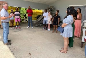 From DC: Premium Virginia Wine Country Tour with Tastings