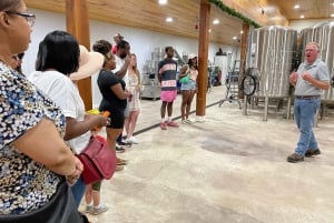 From DC: Premium Virginia Wine Country Tour with Tastings