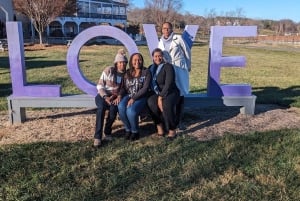 From DC: Premium Virginia Wine Country Tour with Tastings