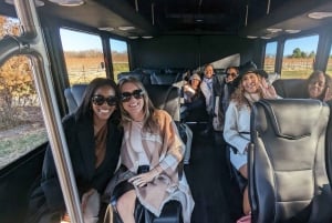 From DC: Premium Virginia Wine Country Tour with Tastings