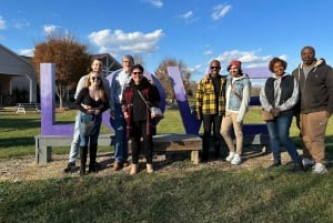 From DC: Premium Virginia Wine Country Tour with Tastings