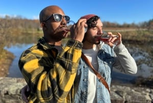 From DC: Premium Virginia Wine Country Tour with Tastings