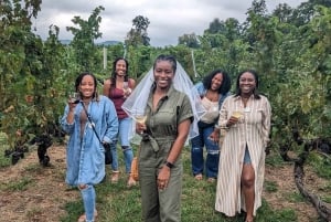 From DC: Premium Virginia Wine Country Tour with Tastings