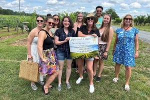 From DC: Premium Virginia Wine Country Tour with Tastings