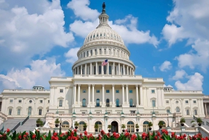 Depuis NYC : Excursion guidée d'une journée à Washington DC en van ou en bus