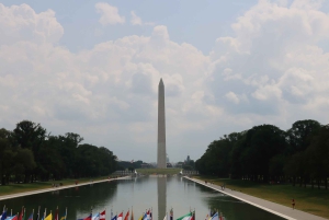 Depuis NYC : Excursion guidée d'une journée à Washington DC en van ou en bus