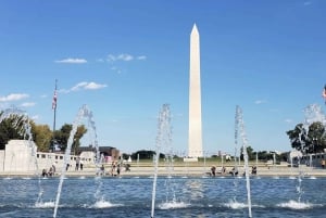 Из Нью-Йорка: однодневная поездка в Вашингтон, округ Колумбия, с трансферами