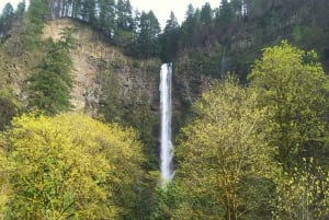De Portland: Visita às cascatas do desfiladeiro de Columbia