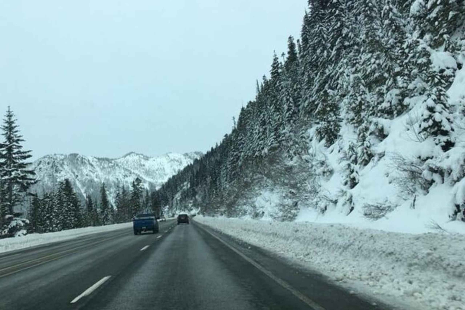 Von Portland aus: Erkunde Mt. Saint Helen in einer kleinen Gruppe