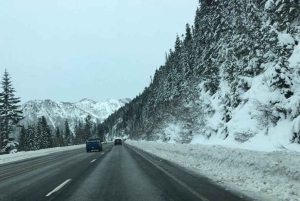Von Portland aus: Erkunde Mt. Saint Helen in einer kleinen Gruppe