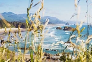 Da Portland: Tour della costa dell'Oregon