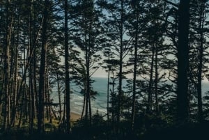 Da Portland: Tour della costa dell'Oregon