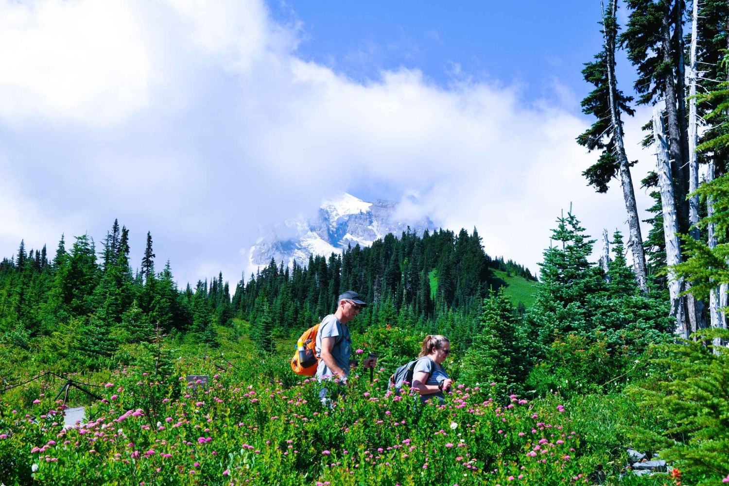 De Seattle: Visita personalizada ao Monte Rainier