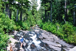 De Seattle: Visita personalizada ao Monte Rainier
