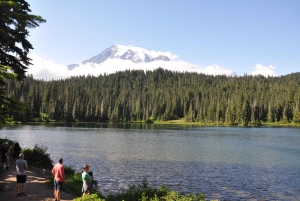 De Seattle: Visita personalizada ao Monte Rainier