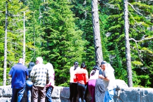 De Seattle: Visita personalizada ao Monte Rainier