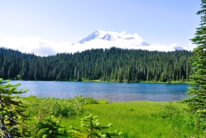 De Seattle: Visita personalizada ao Monte Rainier