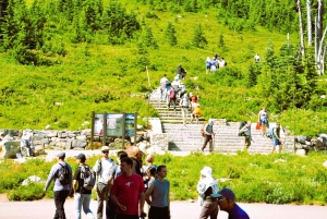 De Seattle: Visita personalizada ao Monte Rainier