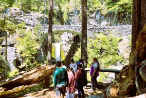 De Seattle: Visita personalizada ao Monte Rainier