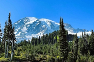 De Seattle: Visita personalizada ao Monte Rainier