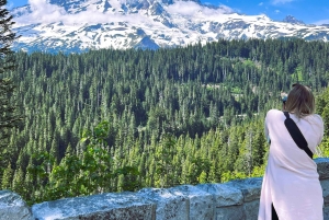 De Seattle: Visita personalizada ao Monte Rainier