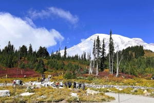 De Seattle: Visita personalizada ao Monte Rainier