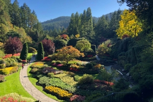 Fra Seattle: Dagstur med høyhastighetsferge til Victoria, BC