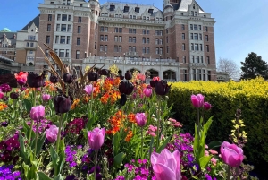 Fra Seattle: Dagstur med høyhastighetsferge til Victoria, BC