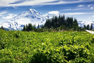 De Seattle - Excursões encantadoras ao Monte Baker e às montanhas Cascade