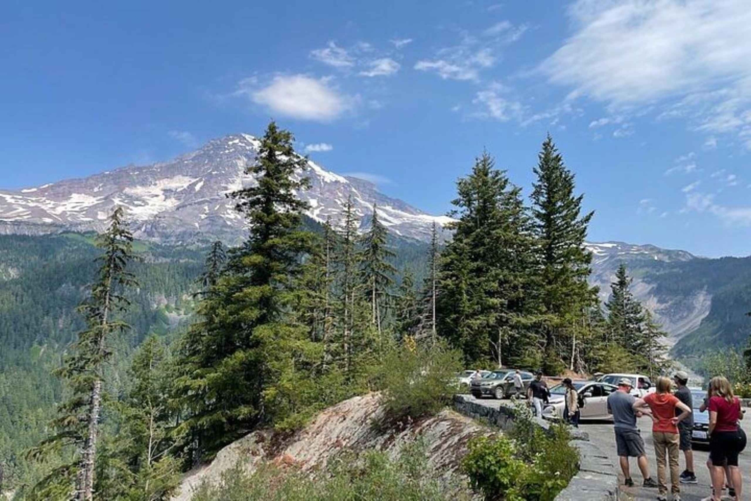 Vanuit Seattle: Dagvullende tour door het Mt Rainier National Park