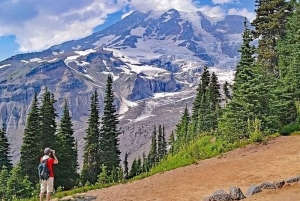 Vanuit Seattle: Dagvullende tour door het Mt Rainier National Park