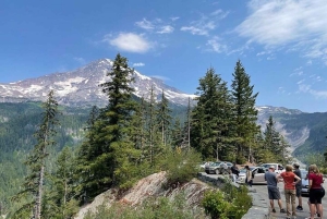 Vanuit Seattle: Dagvullende tour door het Mt Rainier National Park