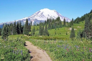 Vanuit Seattle: Dagvullende tour door het Mt Rainier National Park