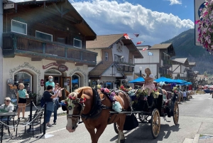 Fra Seattle/Kirkland/Bellevue: Leavenworth eksklusiv tur