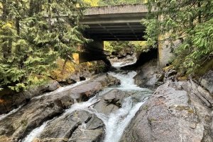 Fra Seattle/Kirkland/Bellevue: Leavenworth eksklusiv tur