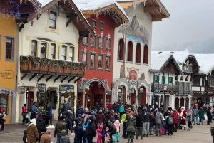 Fra Seattle/Kirkland/Bellevue: Leavenworth eksklusiv tur