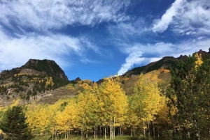 Da Seattle: tour di 1 giorno al Parco Nazionale del Monte Rainier