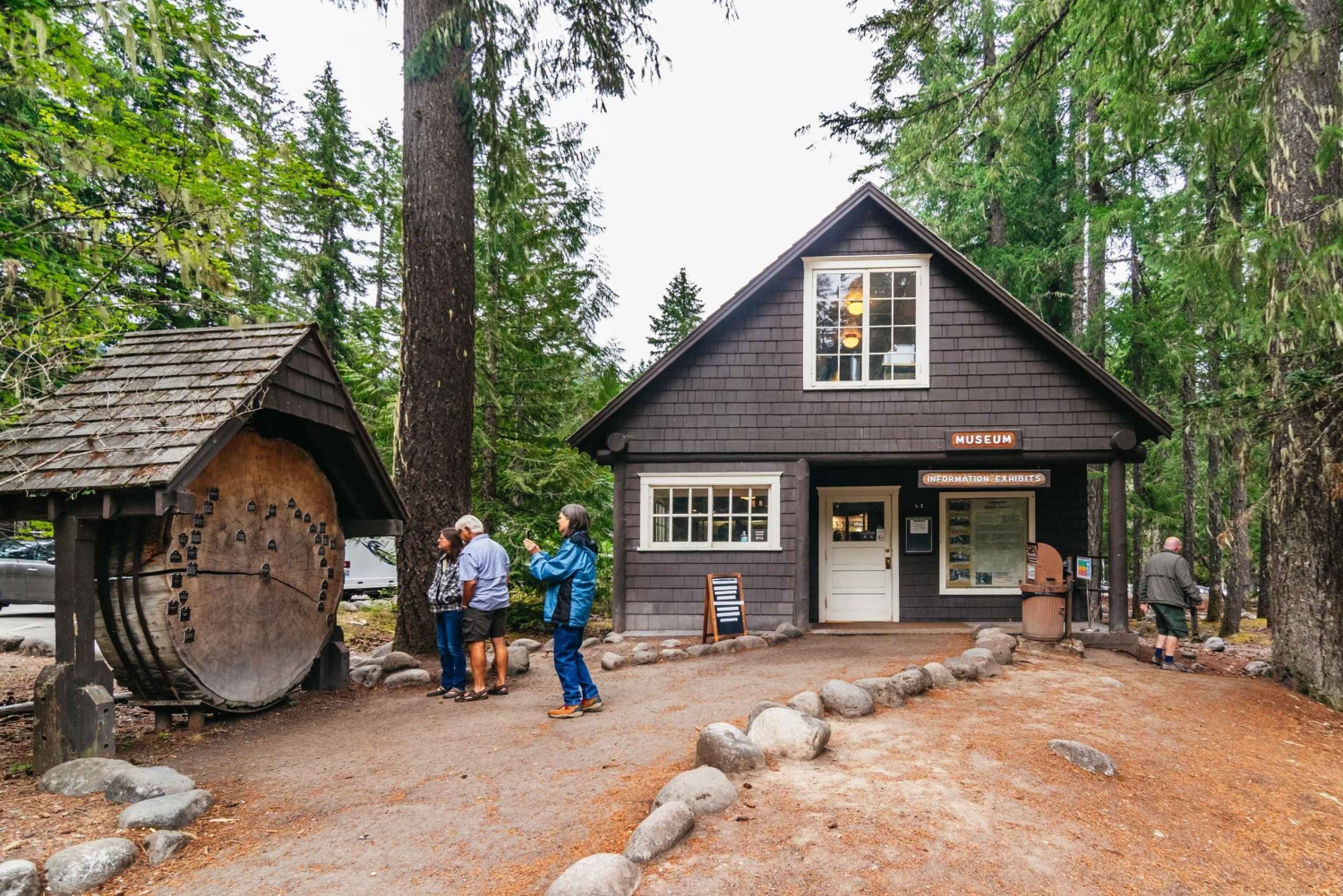 Fra Seattle: Guidet tur til Mount Rainier National Park