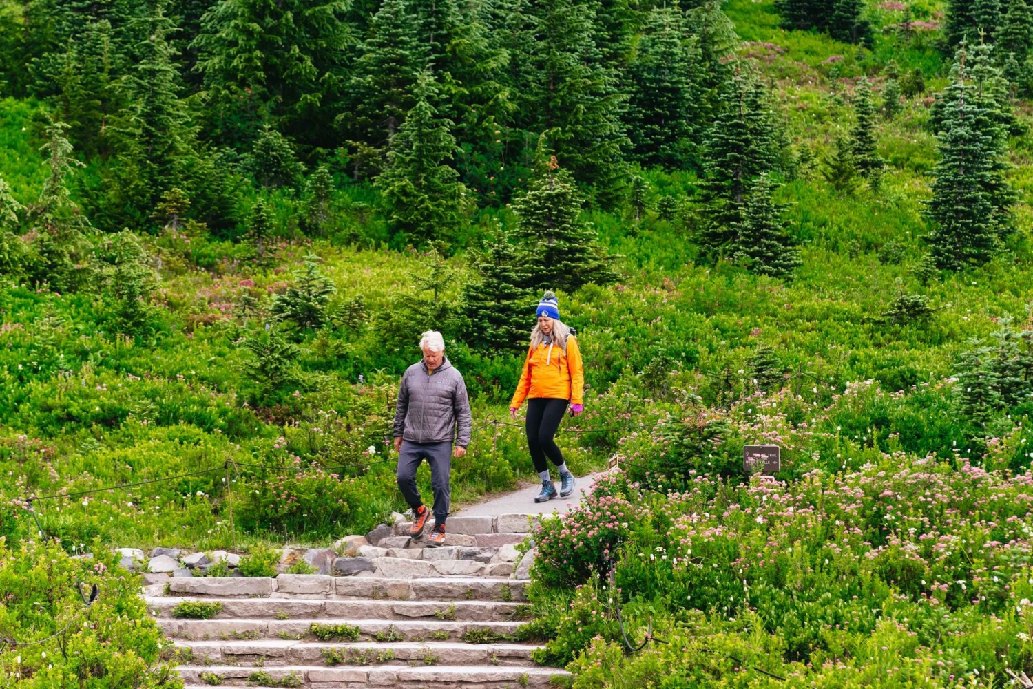 Fra Seattle: Guidet tur til Mount Rainier National Park