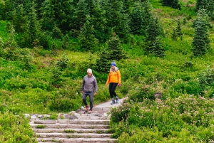 Fra Seattle: Guidet tur til Mount Rainier National Park