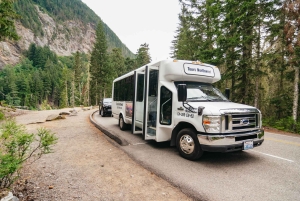 Fra Seattle: Guidet tur til Mount Rainier National Park