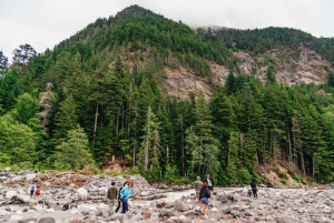 Fra Seattle: Guidet tur til Mount Rainier National Park